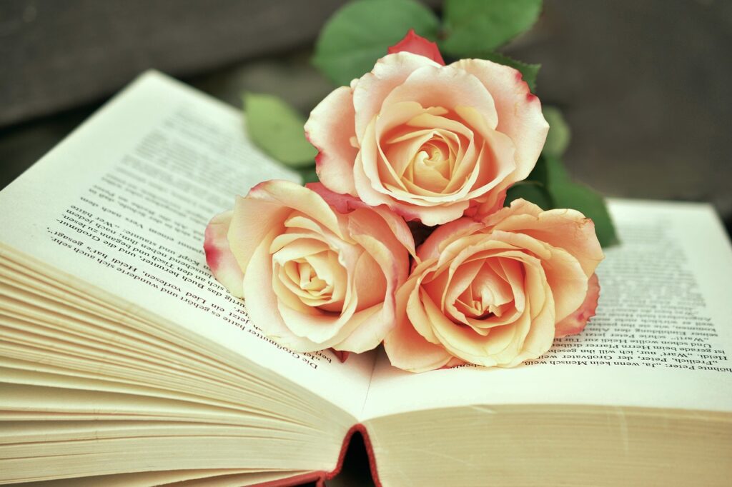 post libro